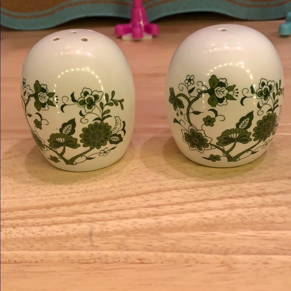 Beautiful hand painted salt and pepper set